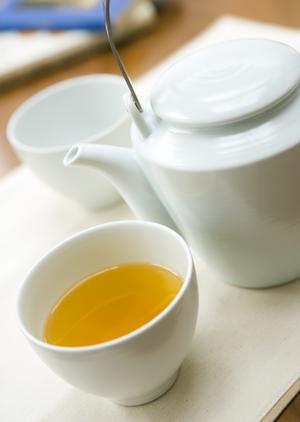 銀座で美味しい日本料理を堪能するなら