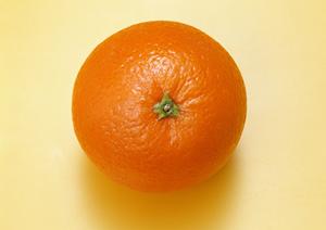 六本木のシェイクシャック – 新たな食の体験