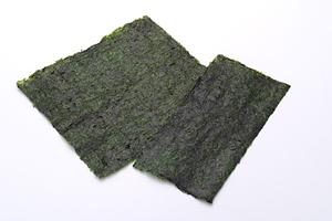 外苑いちょう並木に誕生したシェイクシャック – 自然に包まれた絶品バーガー体験