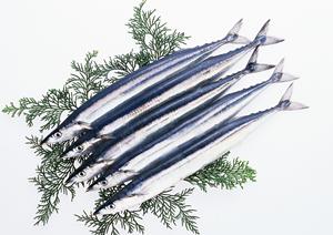 お好み焼きと地域活性化を推進する大阪の老舗「ぼてぢゅう」の魅力と展望